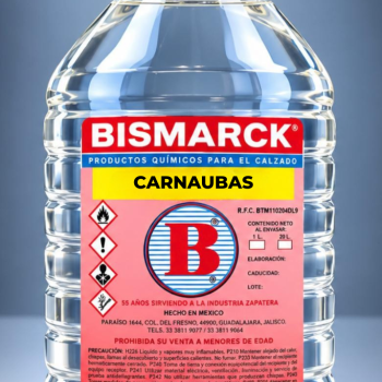 Carnaubas